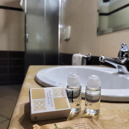 Hotel Federico Ii 3*